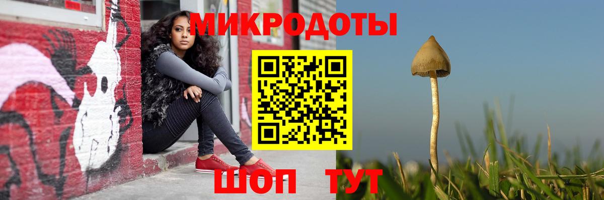 Галлюциногенные грибы Cubensis  Вход с VPN  Артём 